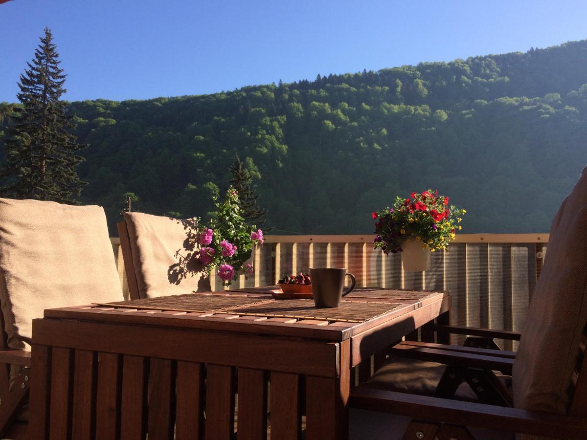 Miro Apartament Sinaia Ngoại thất bức ảnh