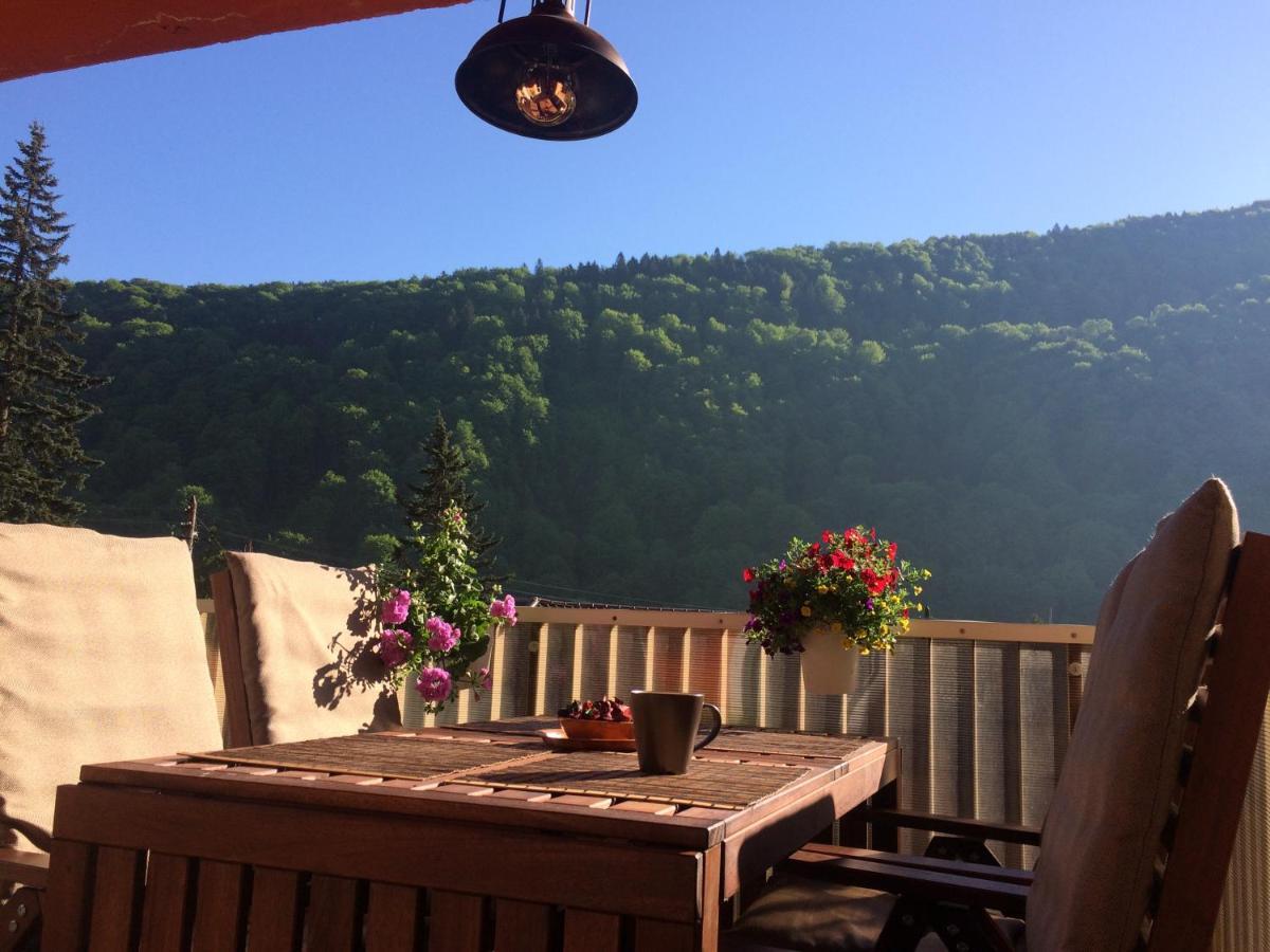 Miro Apartament Sinaia Ngoại thất bức ảnh
